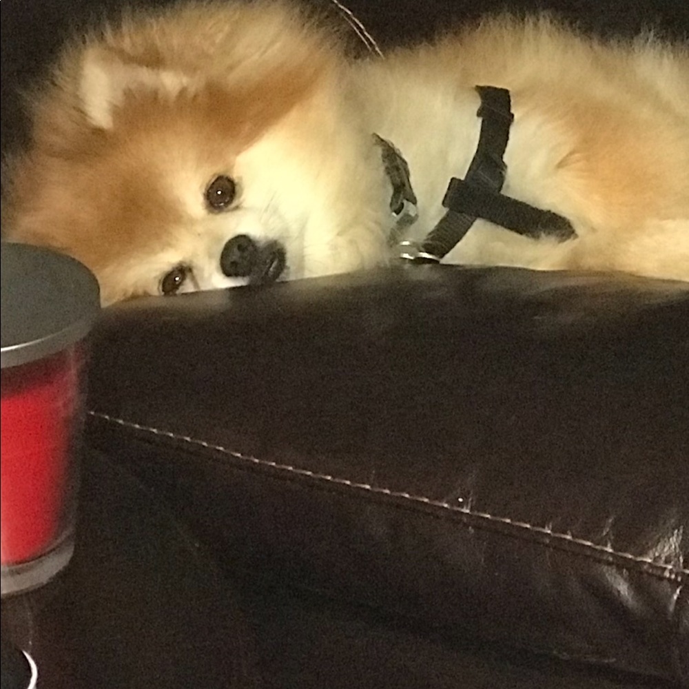 Meet your Posher, Tiffany